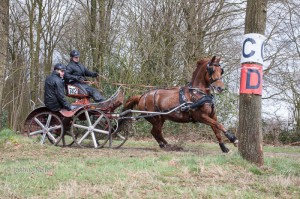 oefenmarathon 2016 MG 3566-3566    